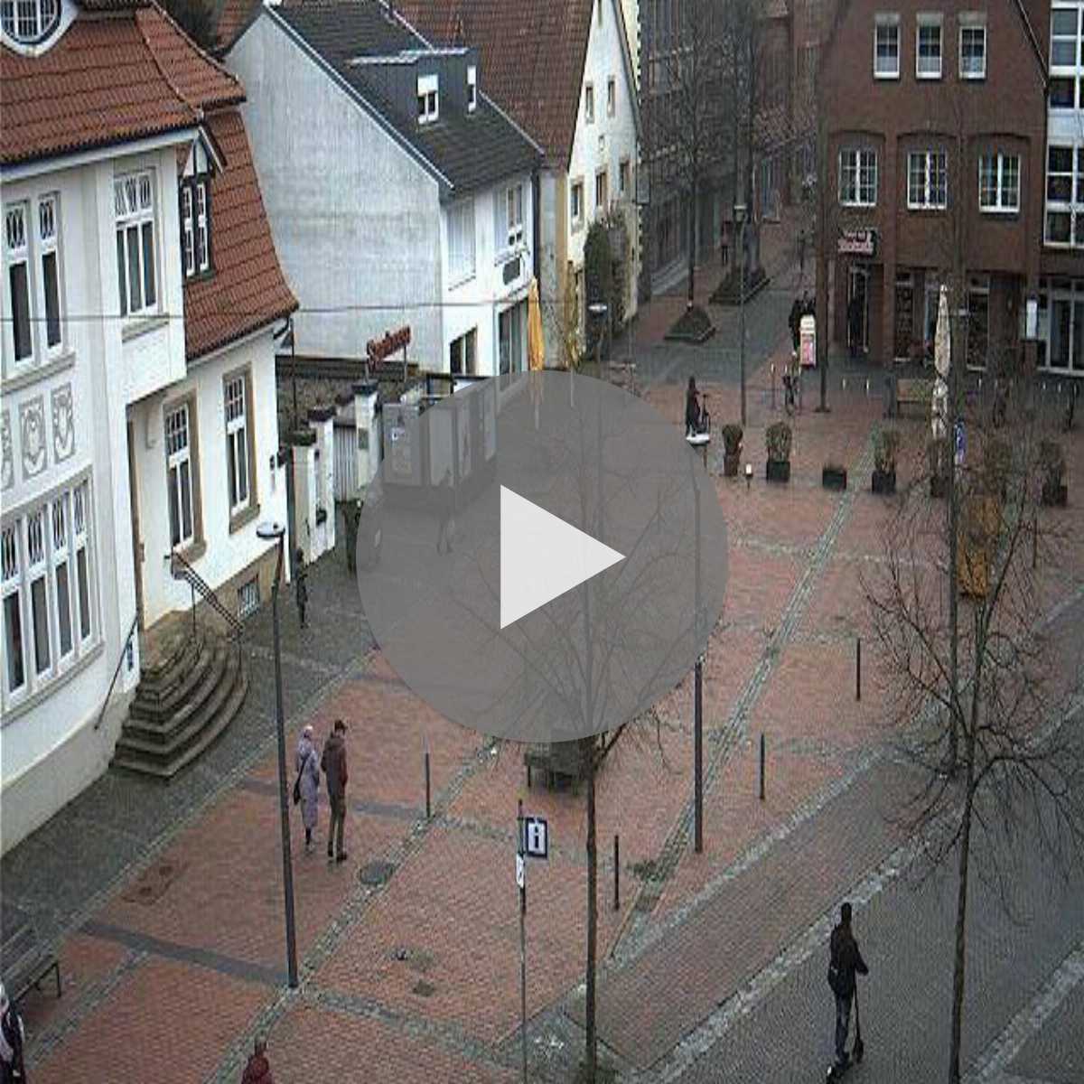 Reppenstedt webcam