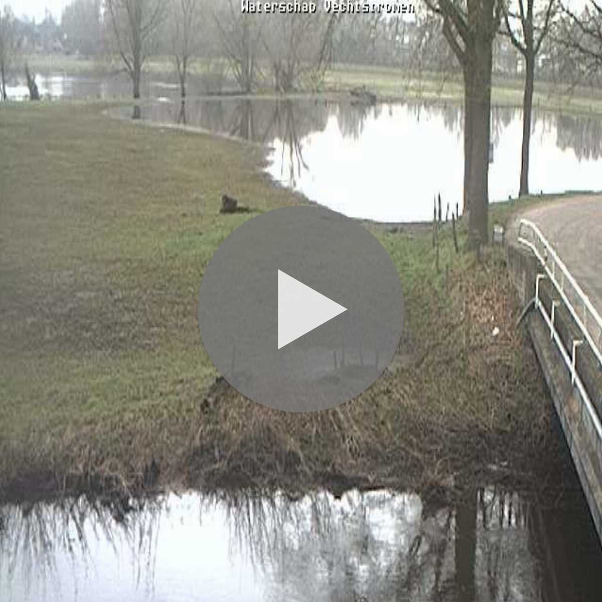 Reppenstedt webcam