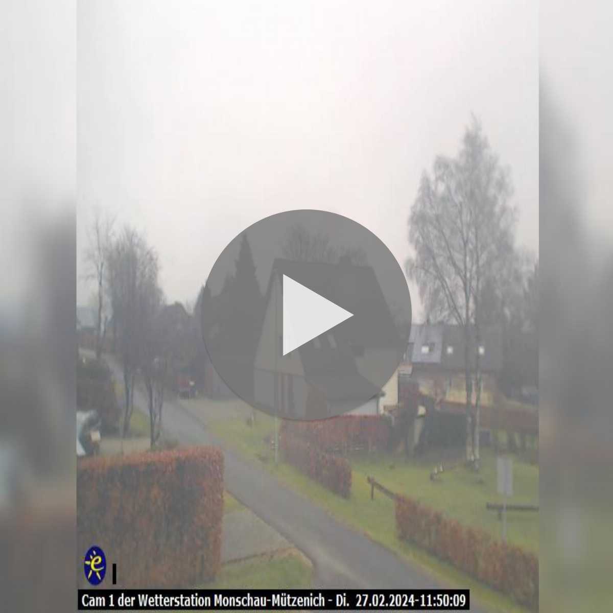 Riesenbeck webcam