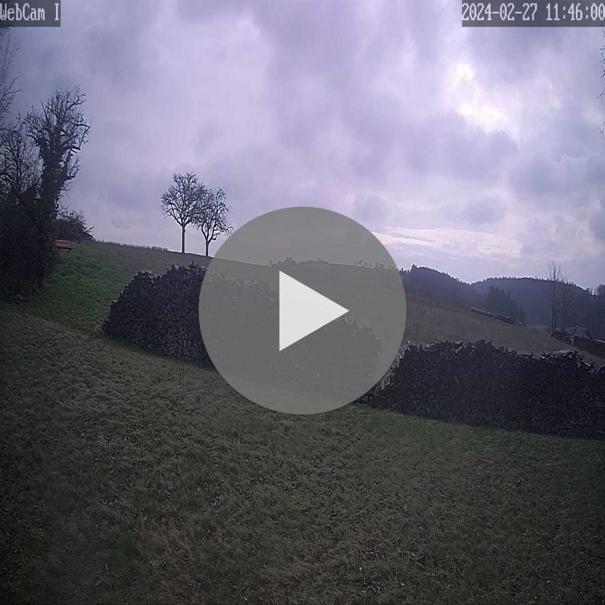 Schallstadt webcam
