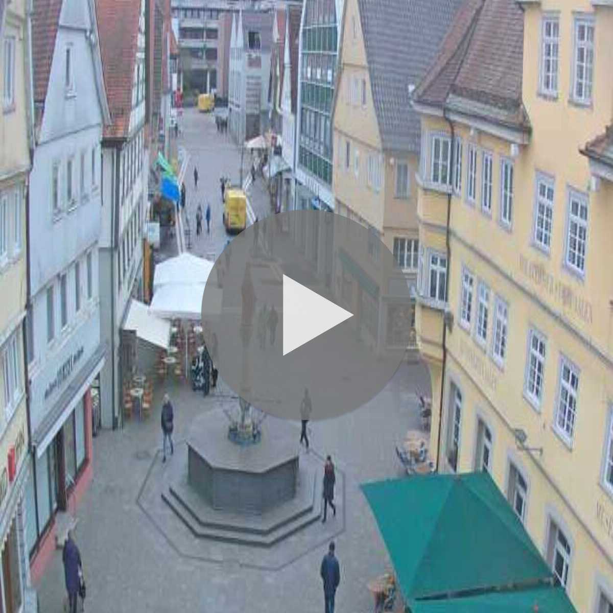 Schallstadt webcam