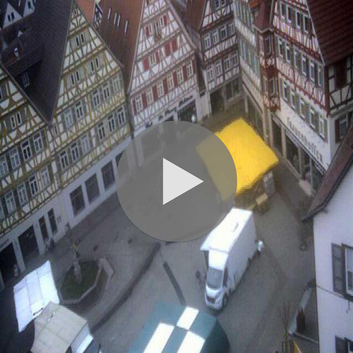 Schallstadt webcam