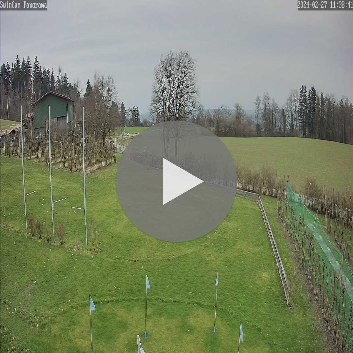 Schallstadt webcam