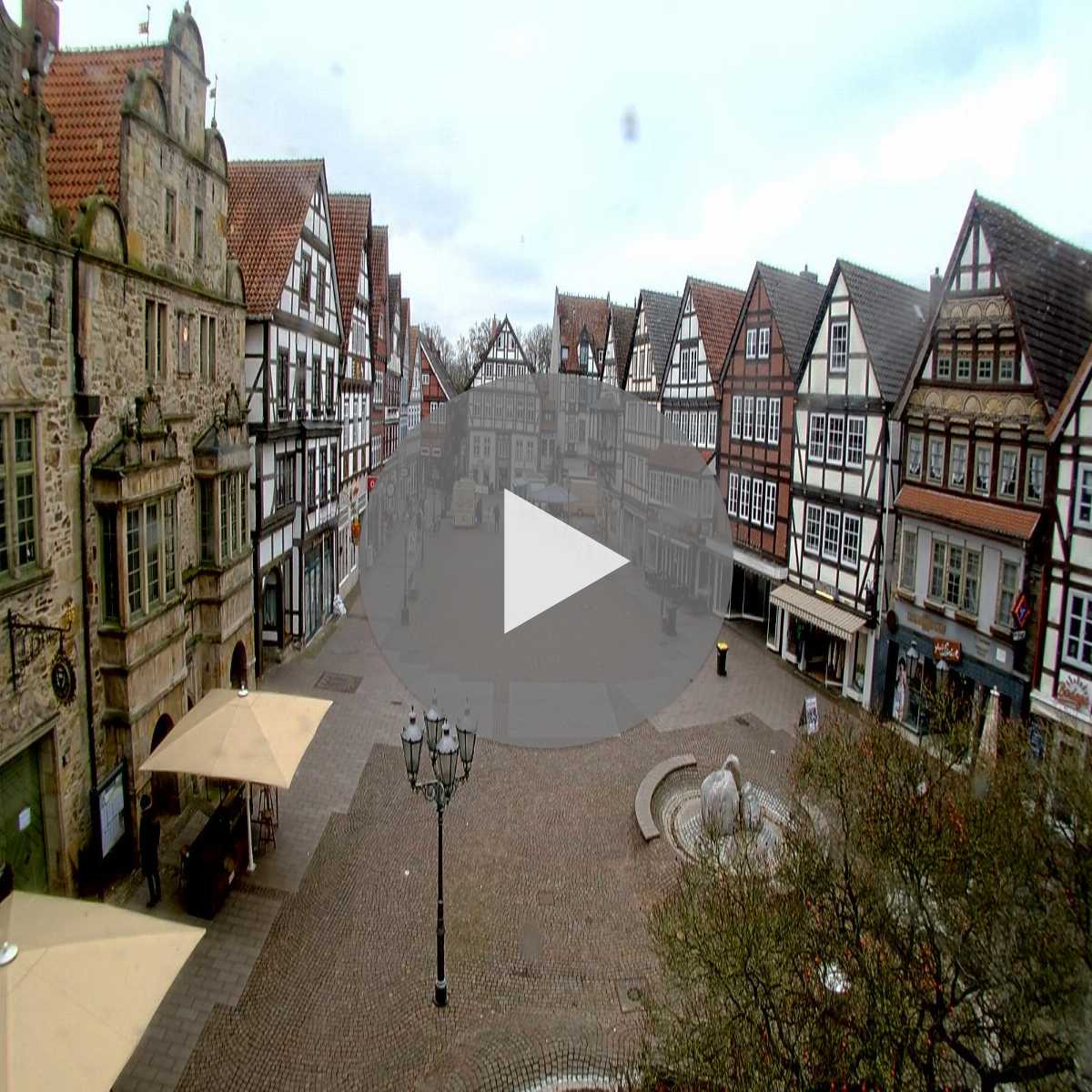 Reppenstedt webcam