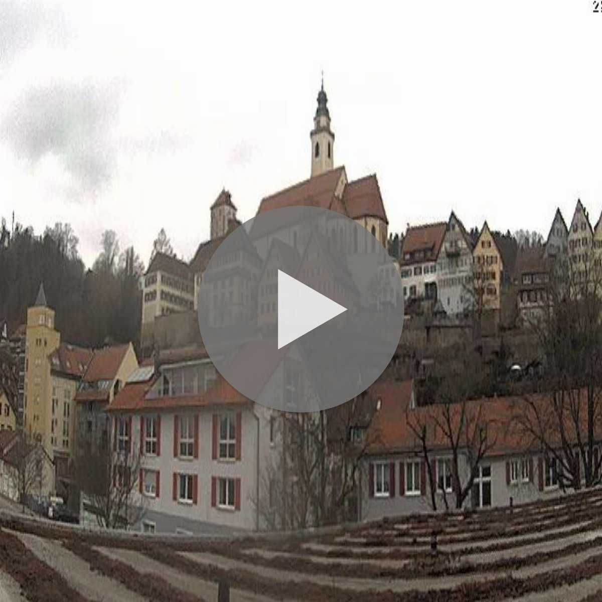 Schallstadt webcam