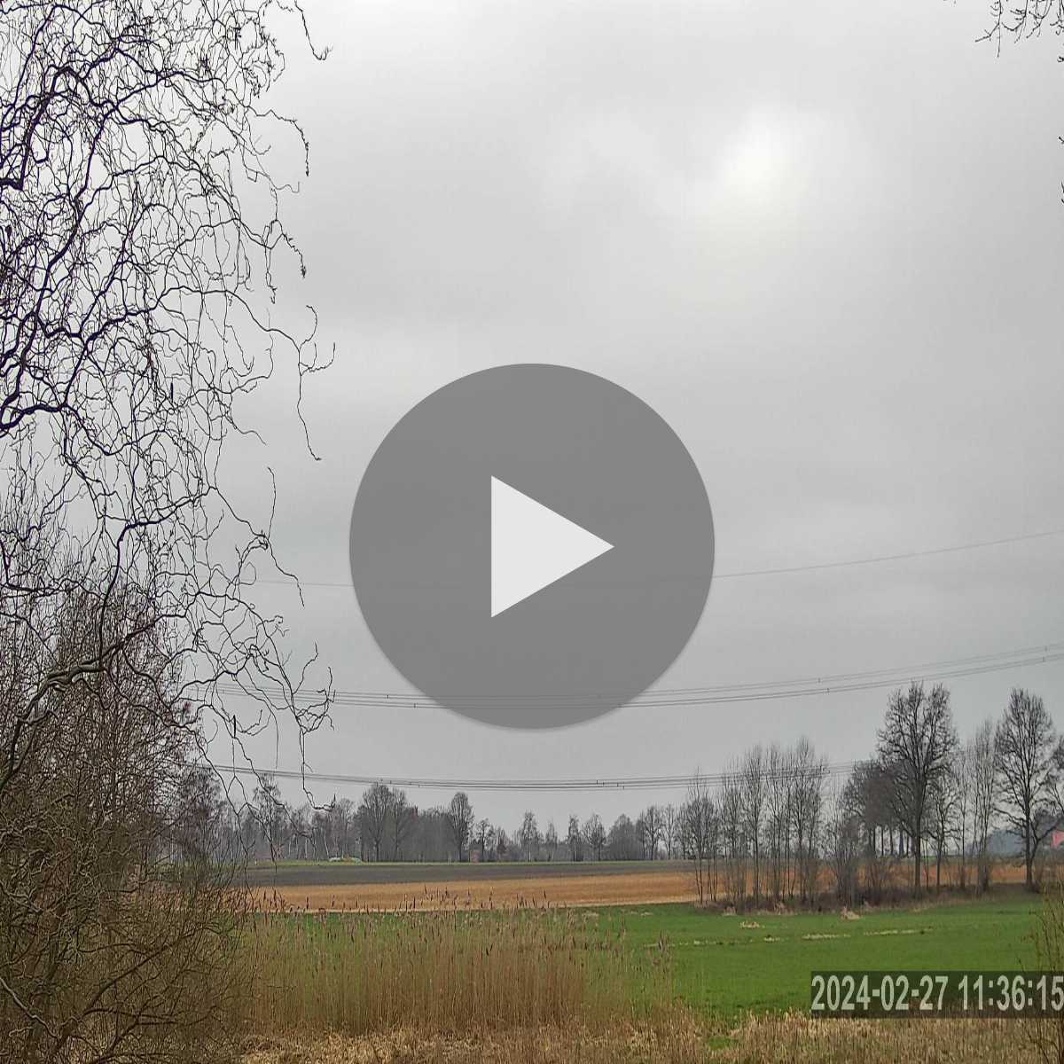 Reppenstedt webcam