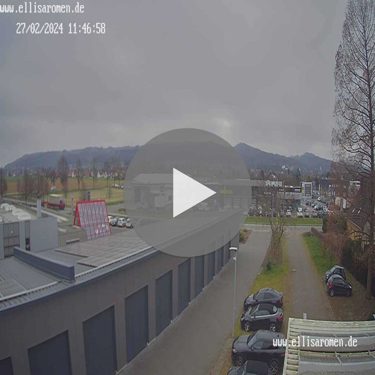 Riesenbeck webcam