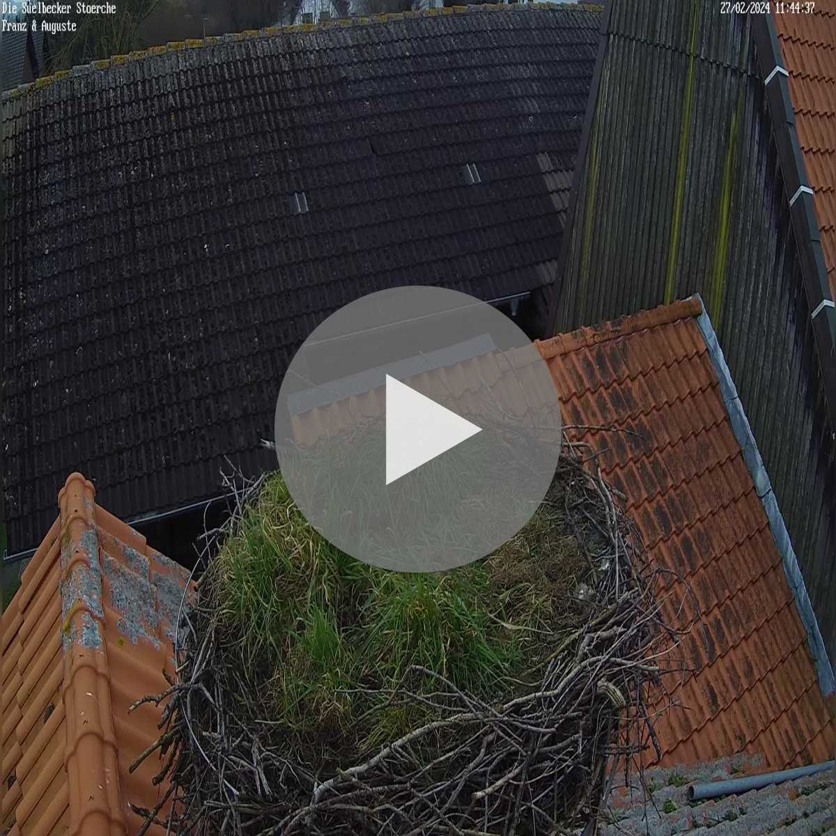 Reppenstedt webcam