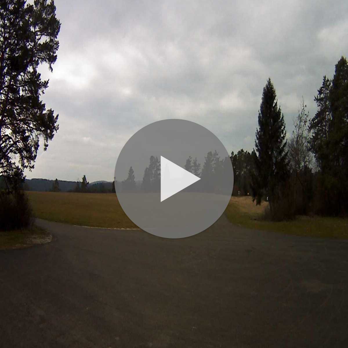 Schallstadt webcam