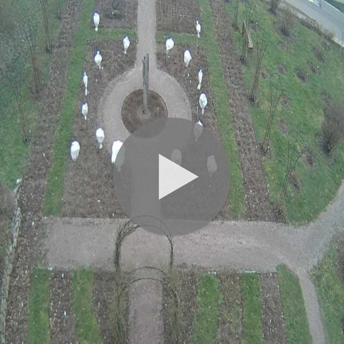 Schallstadt webcam