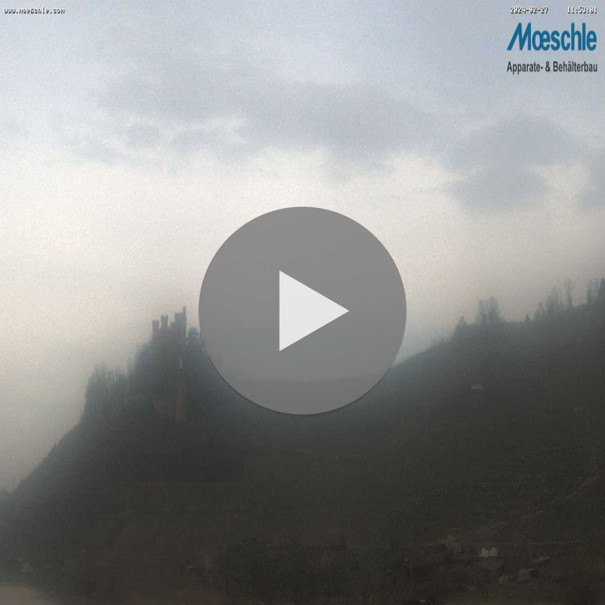 Schallstadt webcam