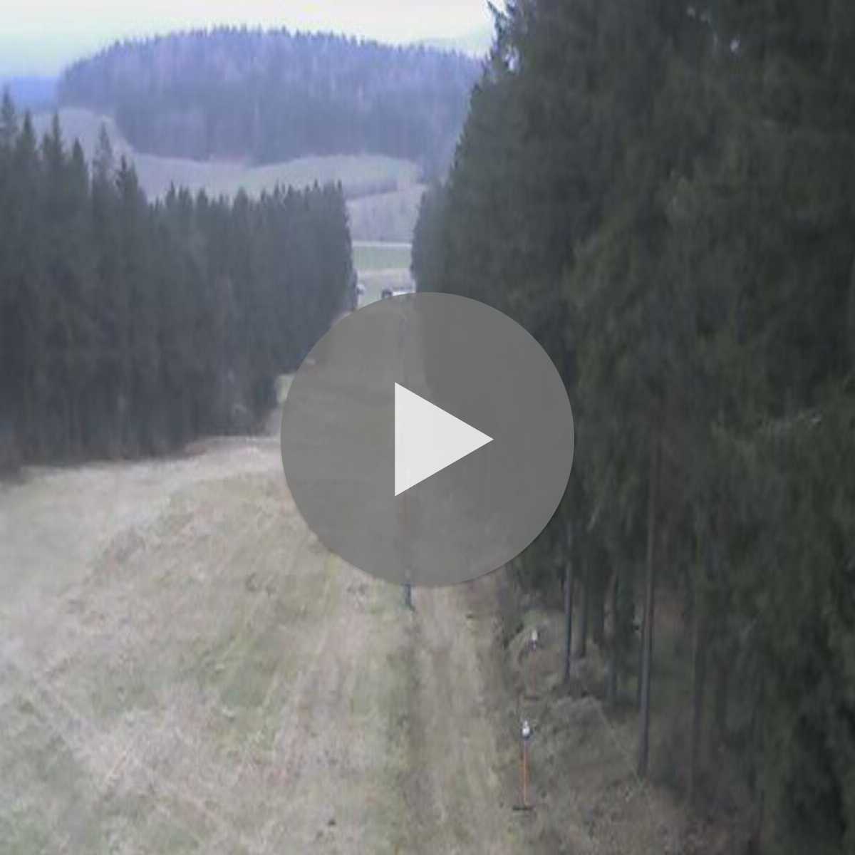 Zachenberg webcam