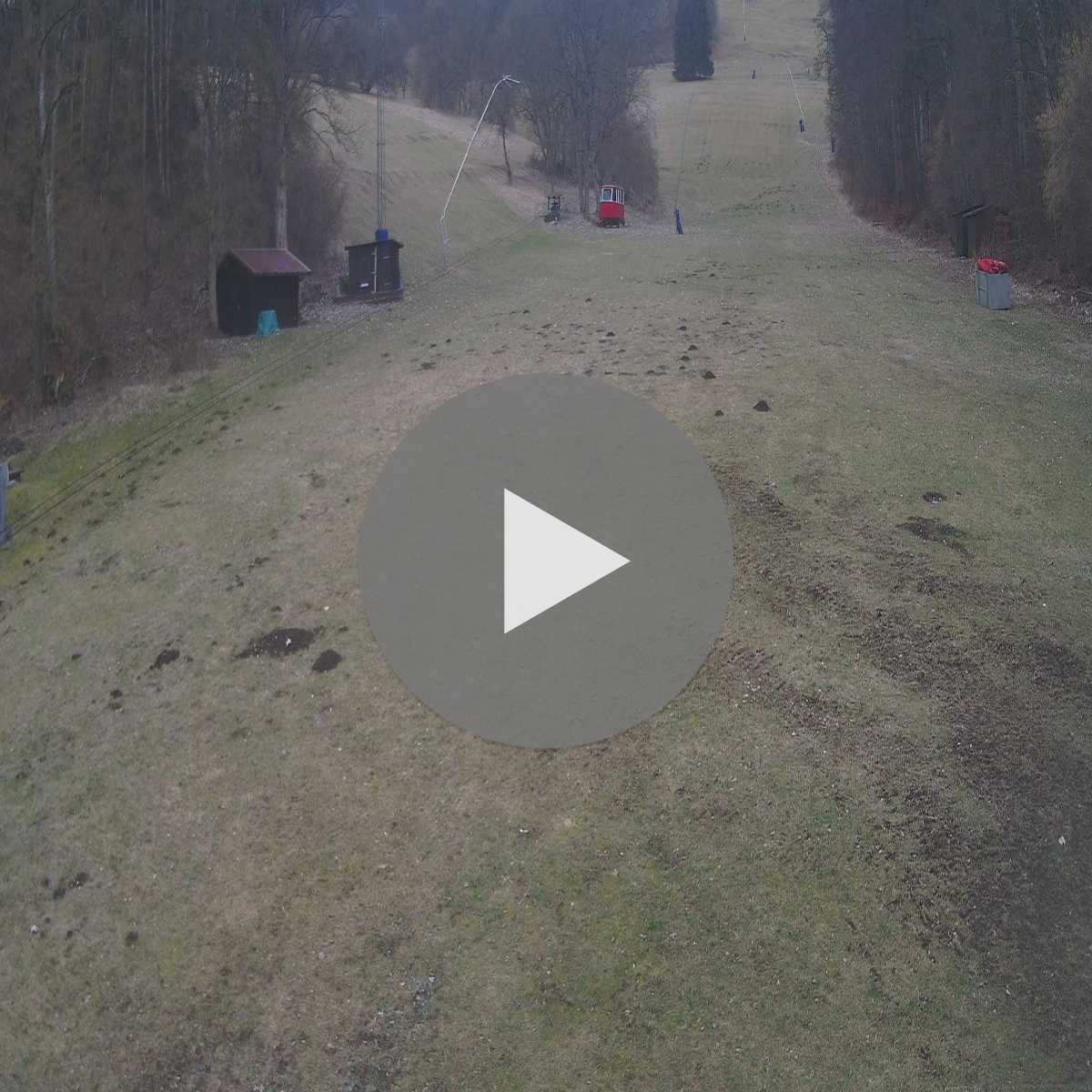 Schallstadt webcam