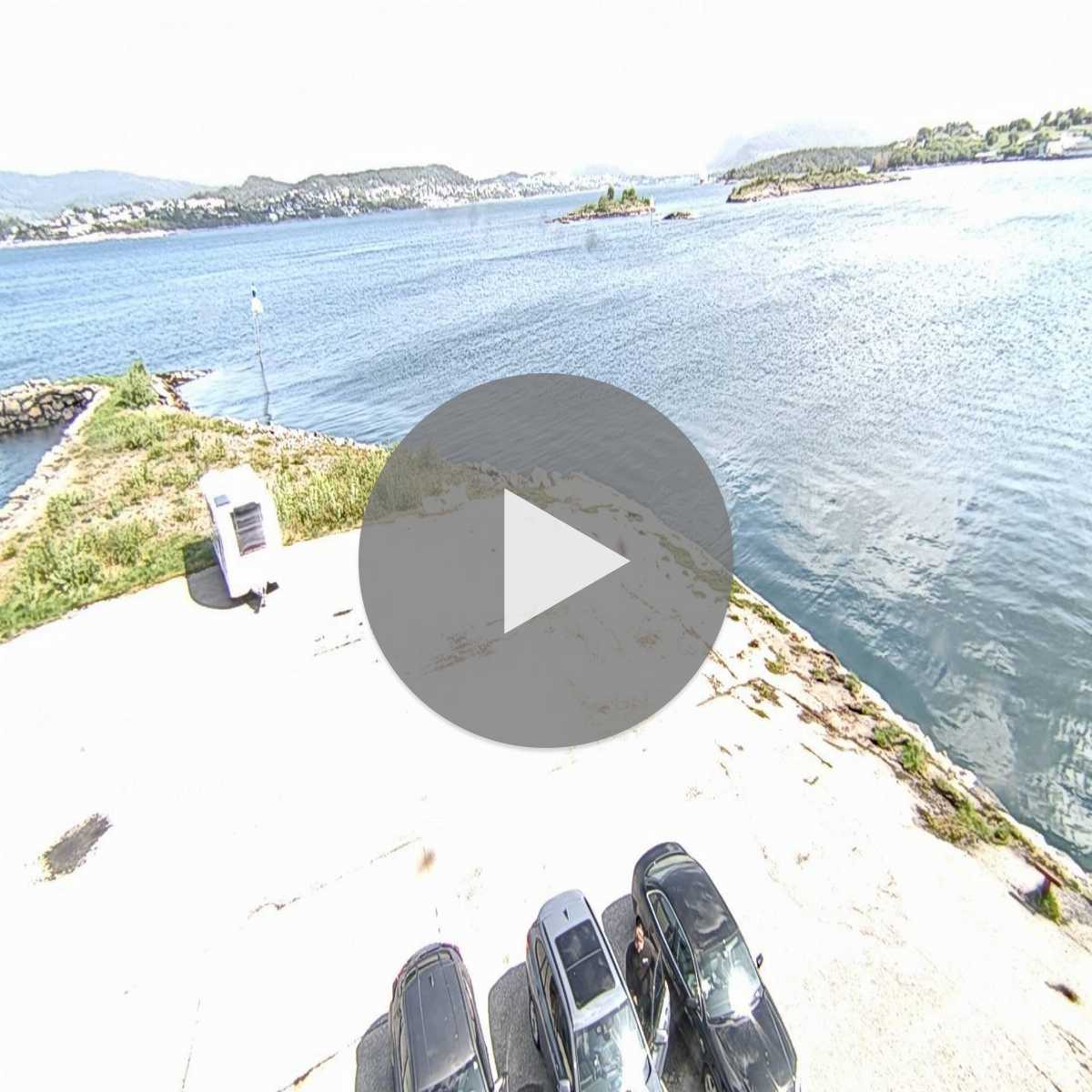 Eidsa webcam