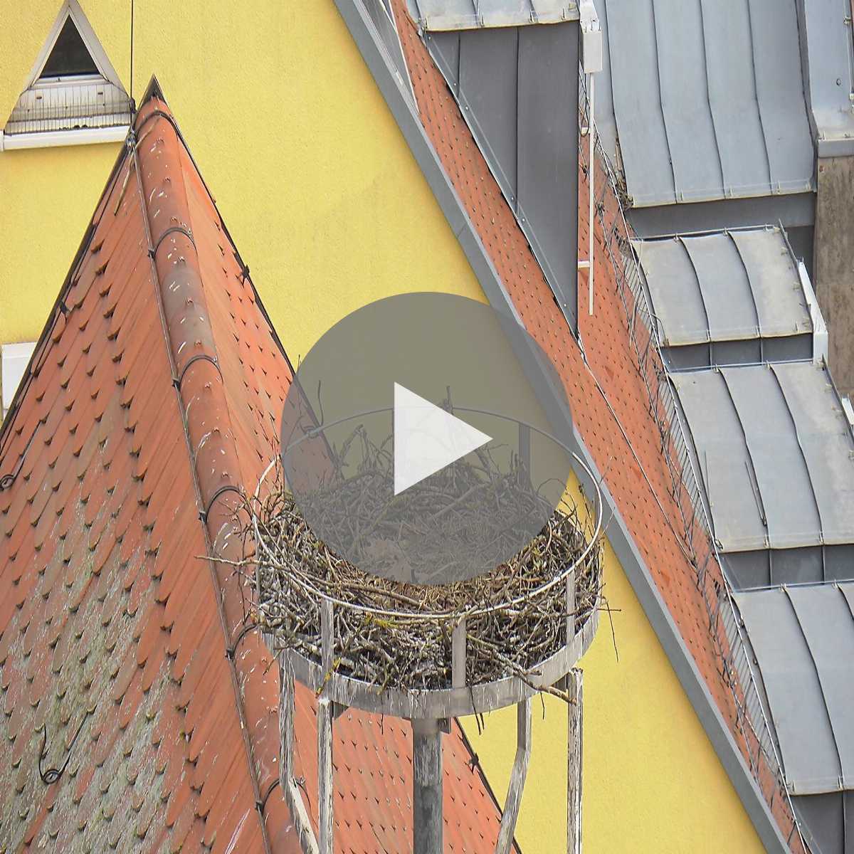 Schallstadt webcam