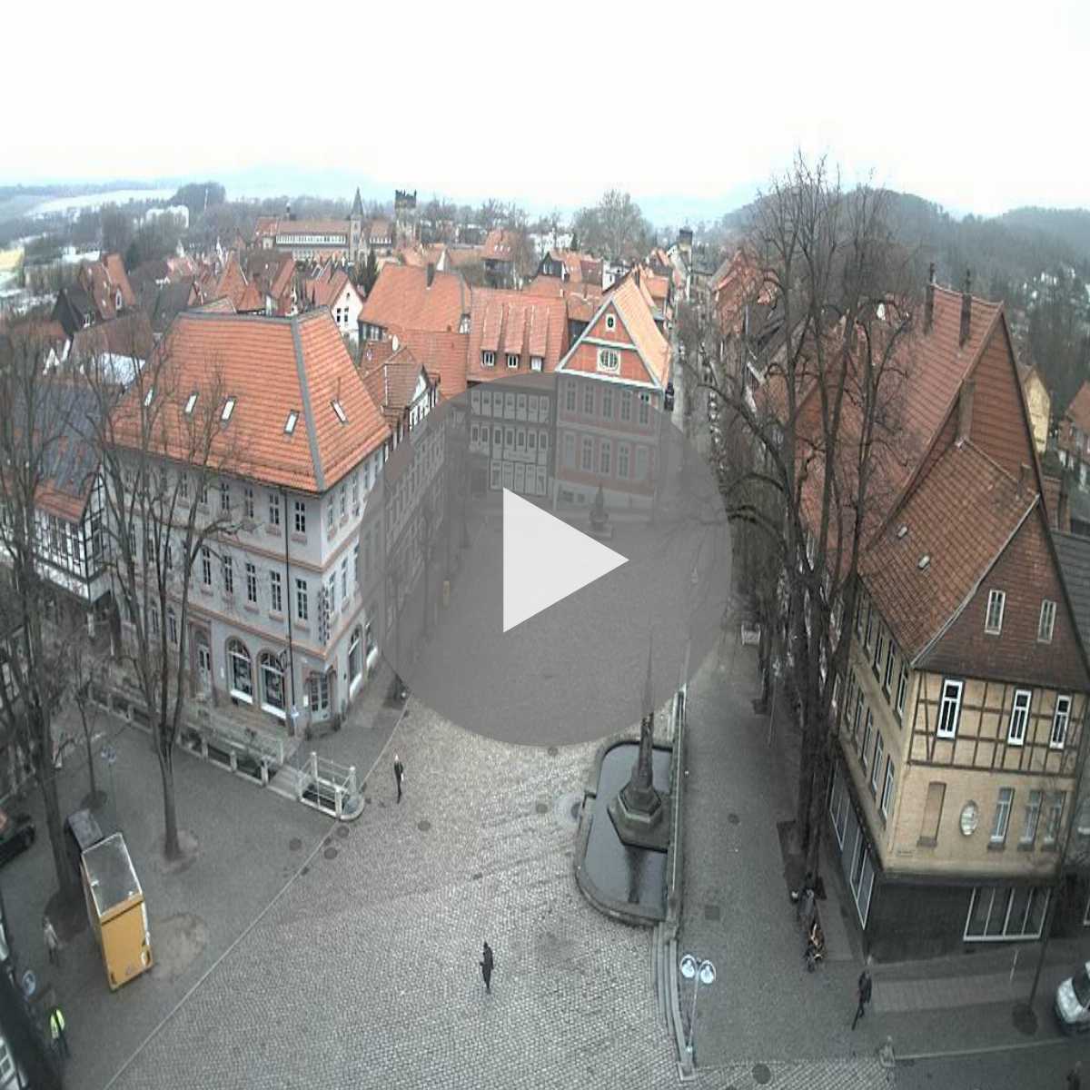 Reppenstedt webcam