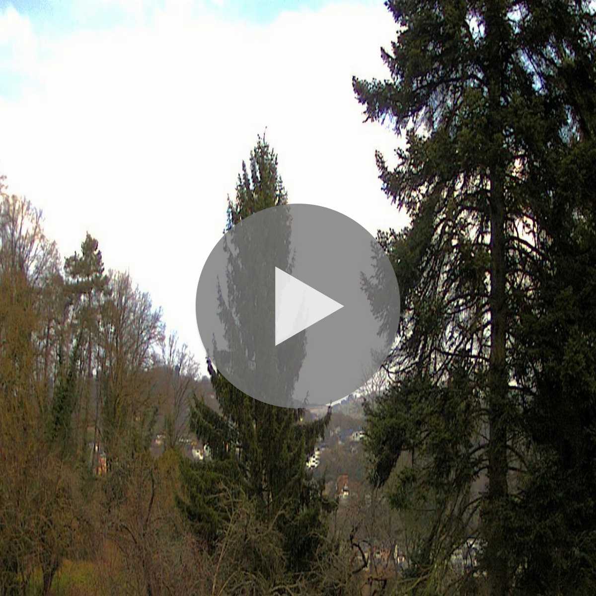 Kottenheim webcam
