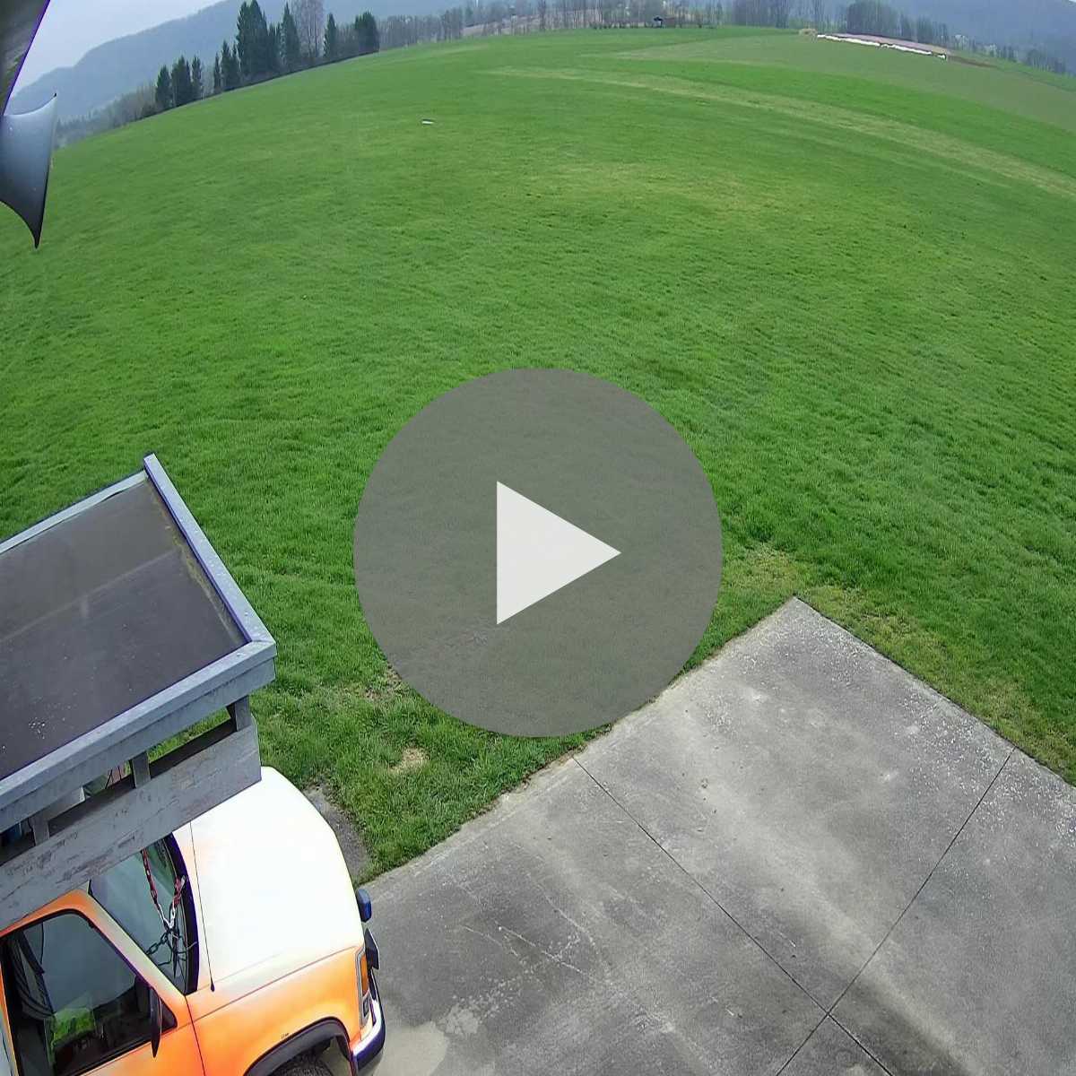 Schallstadt webcam