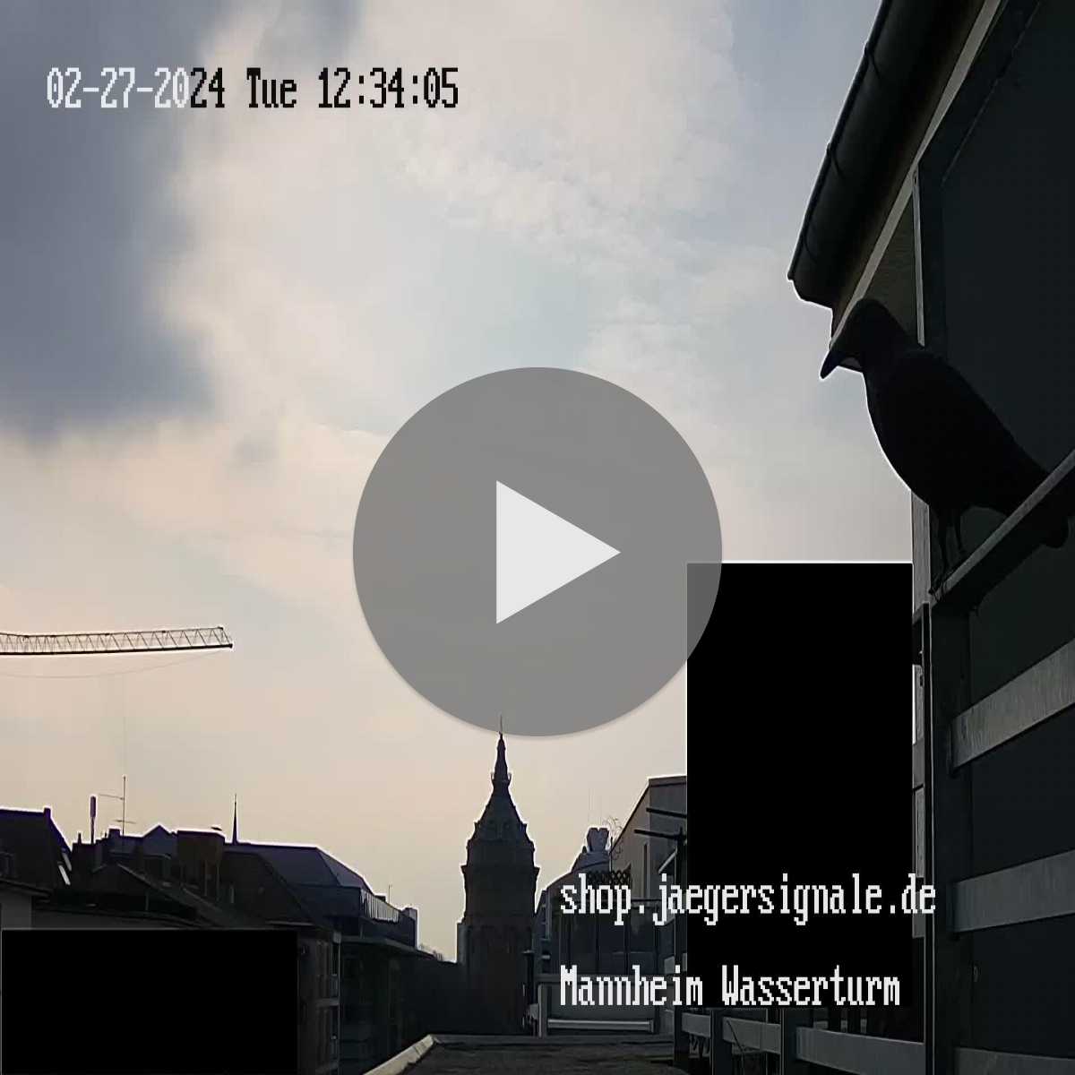 Schallstadt webcam