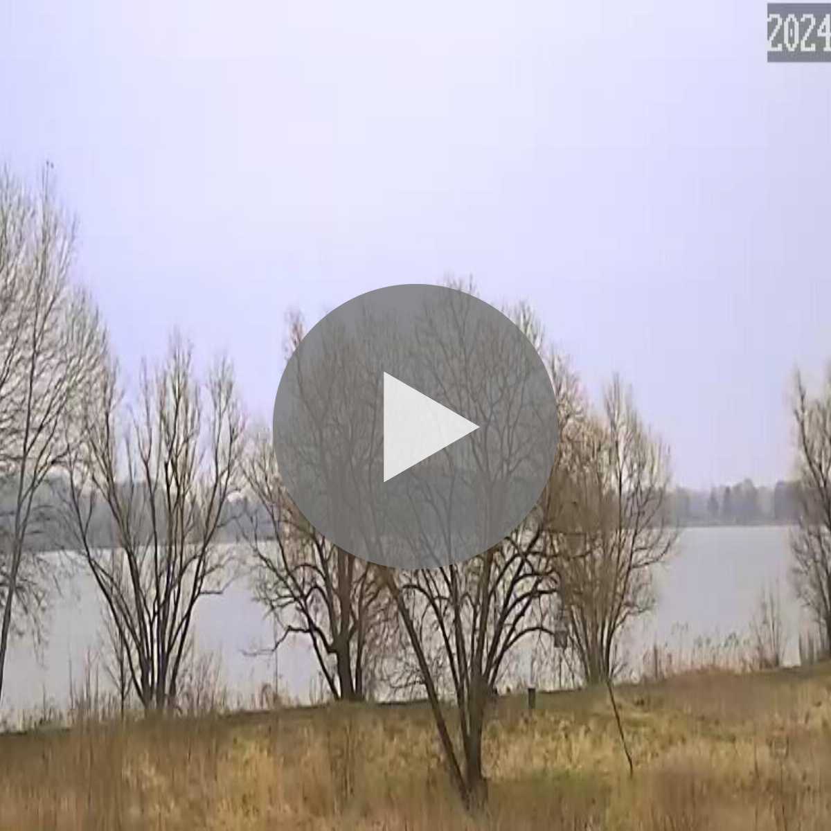 Kienitz Nord webcam