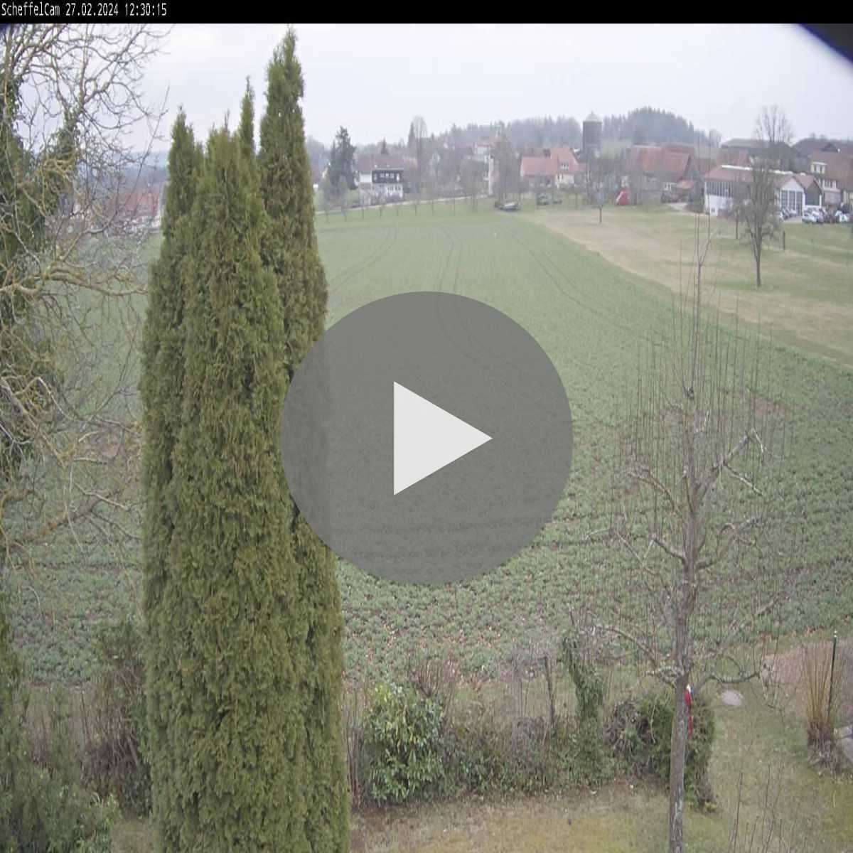 Schallstadt webcam