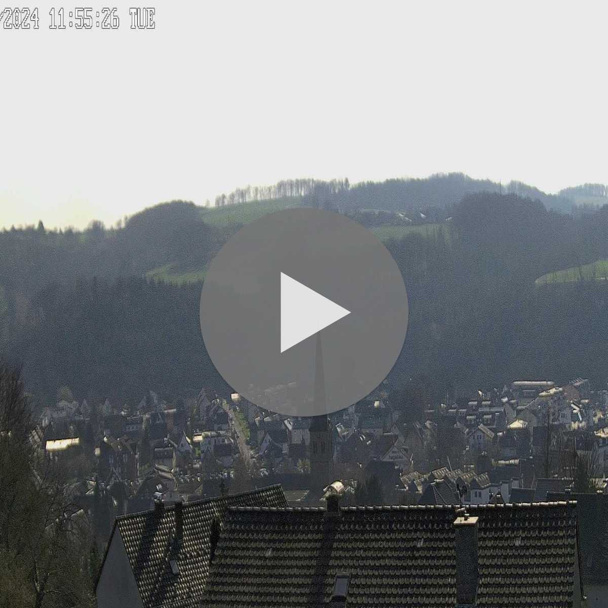 Riesenbeck webcam