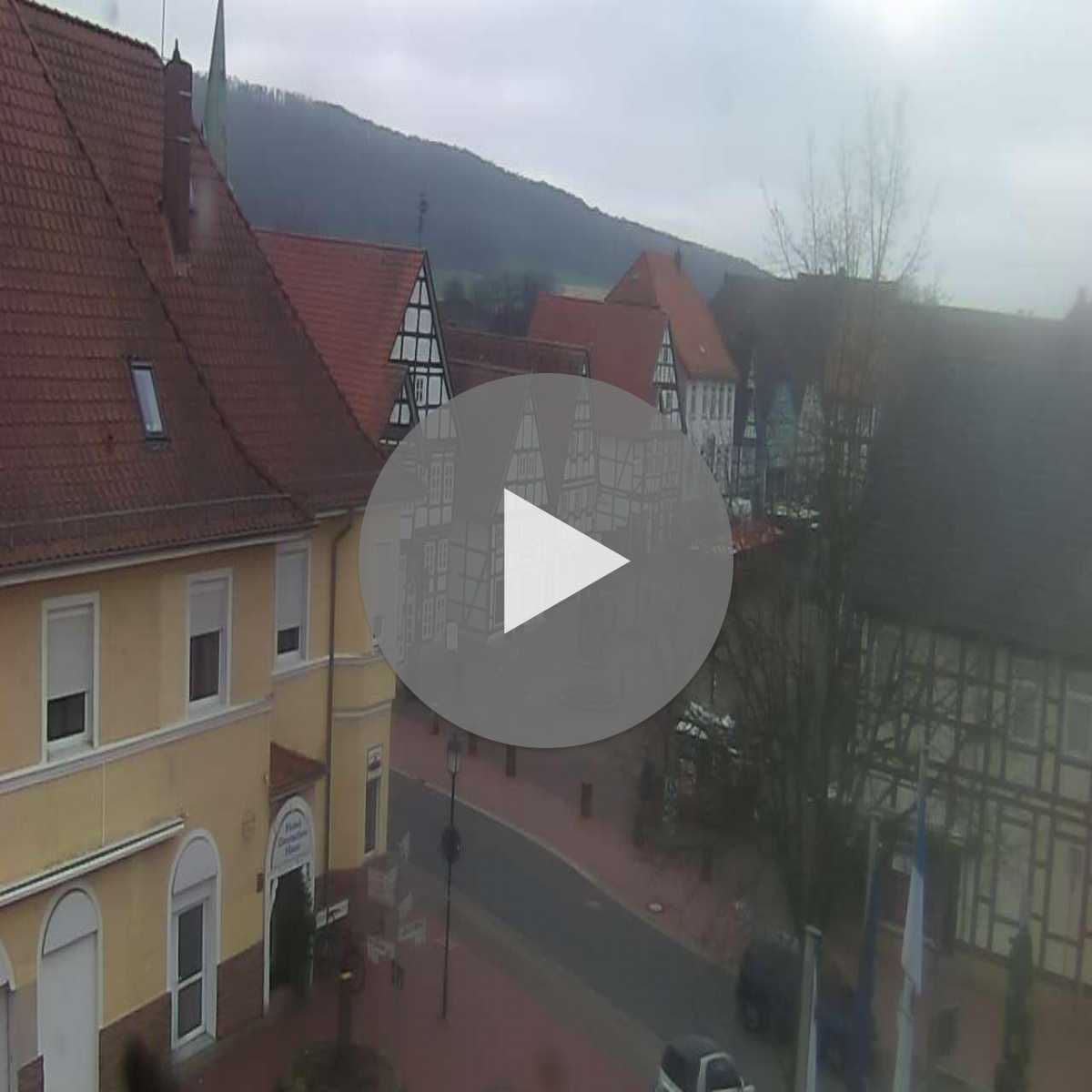 Reppenstedt webcam