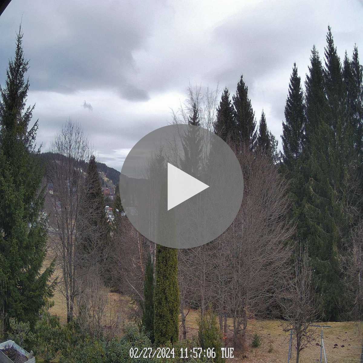 Schallstadt webcam