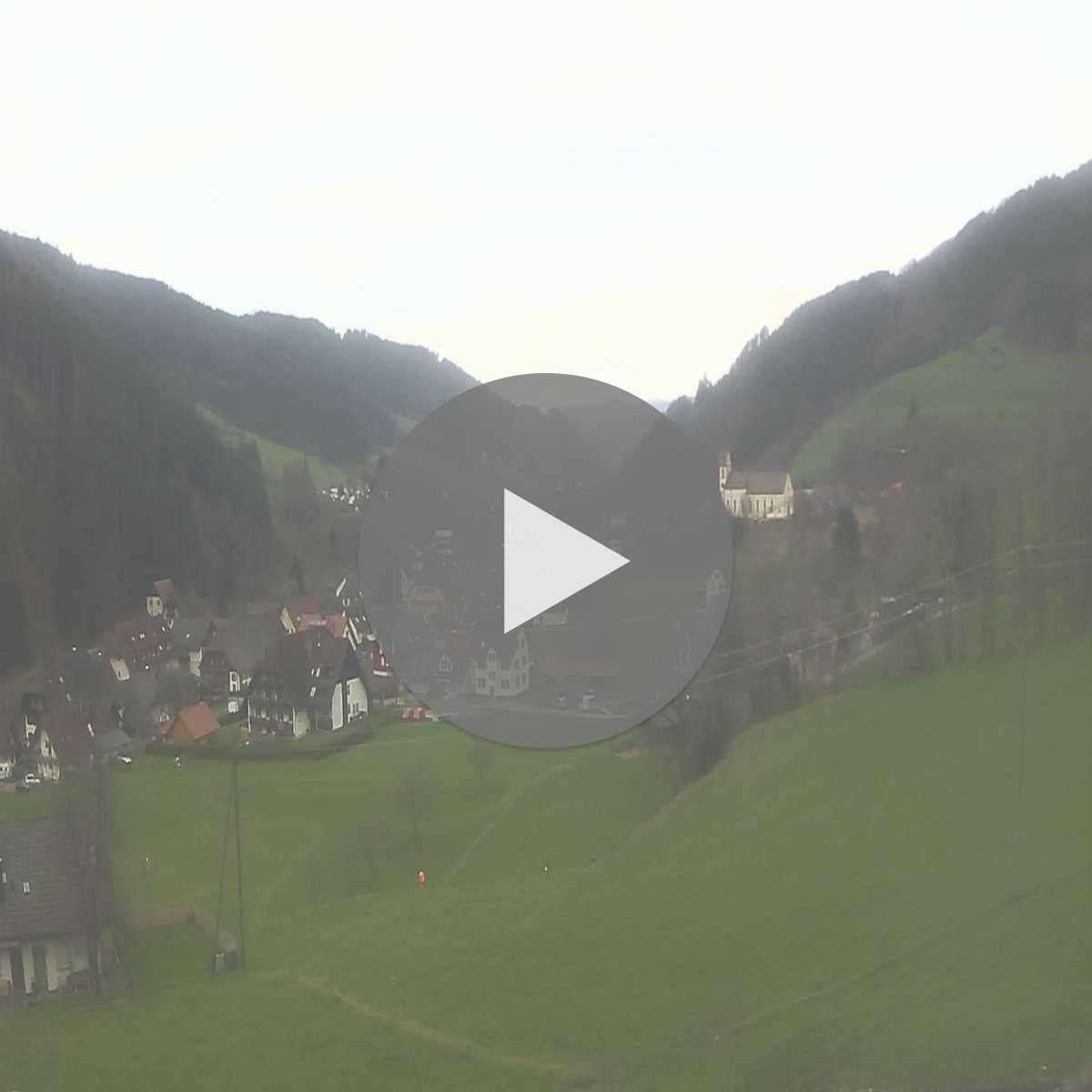 Schallstadt webcam