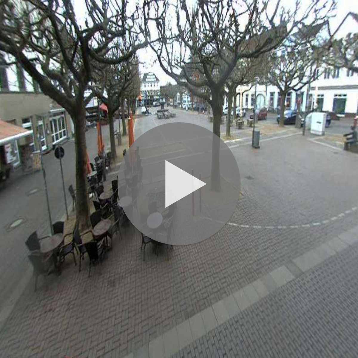 Reppenstedt webcam