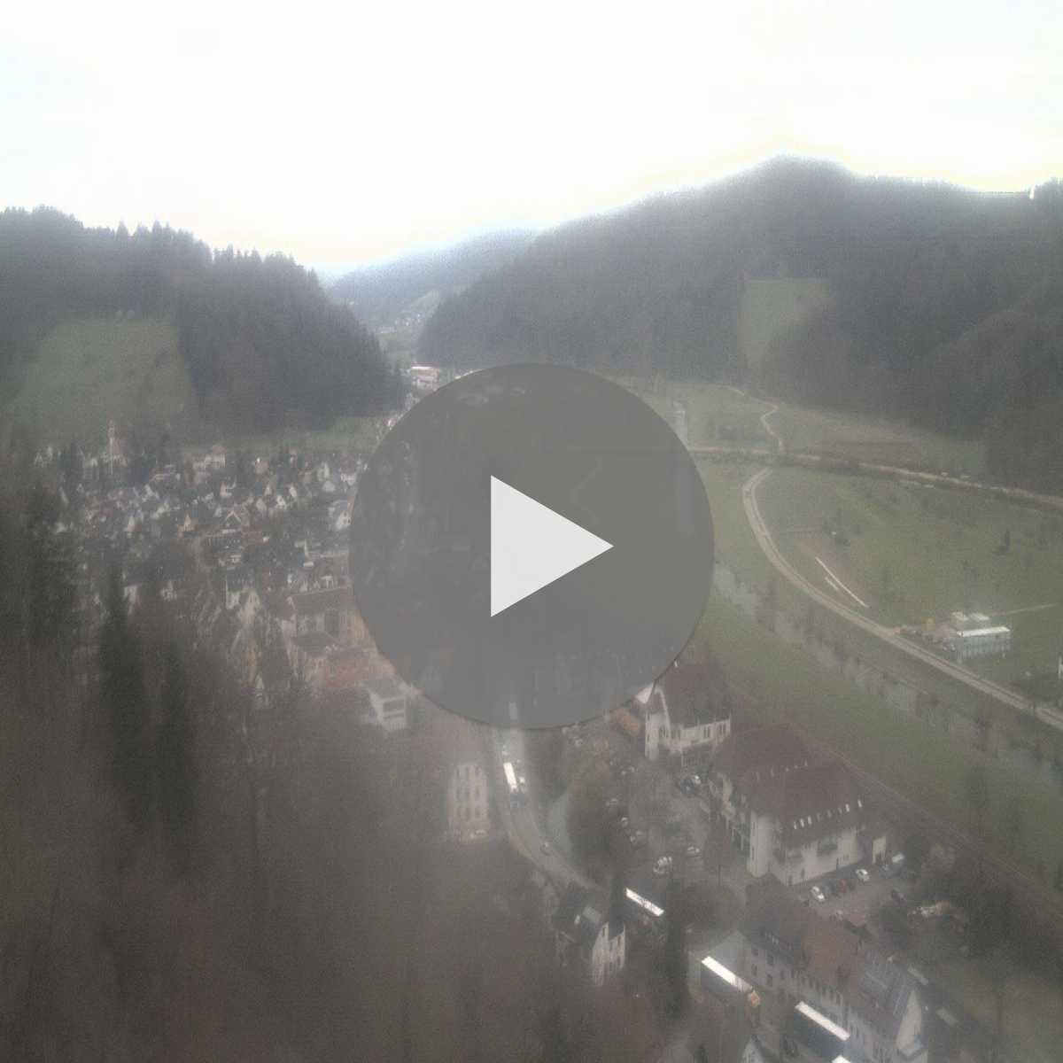 Schallstadt webcam