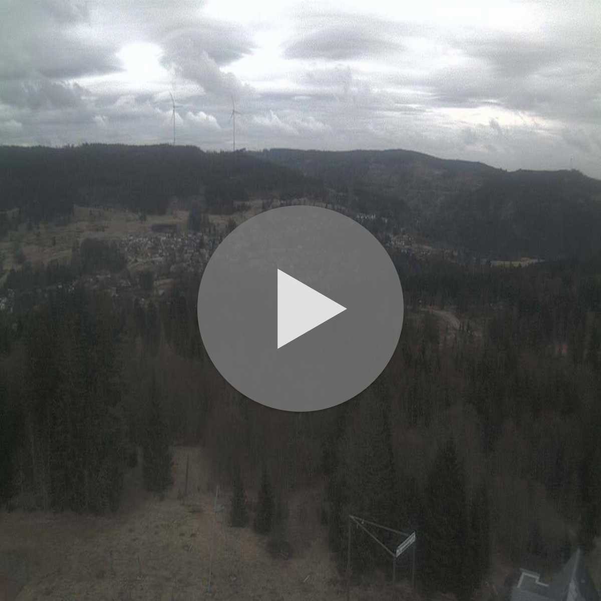 Schallstadt webcam