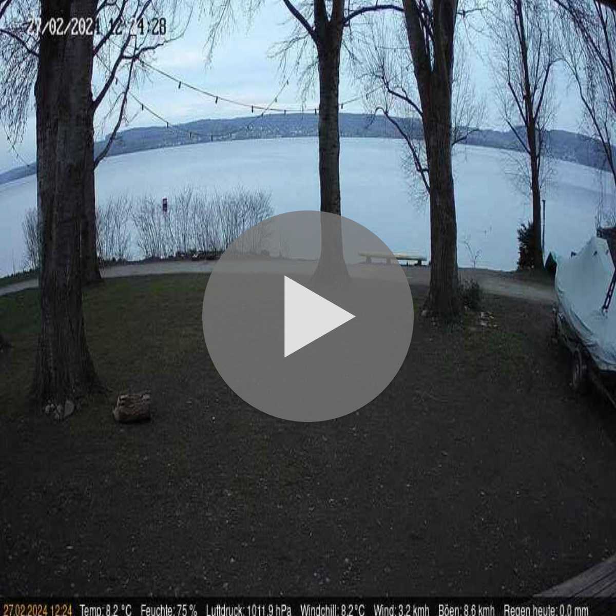 Schallstadt webcam