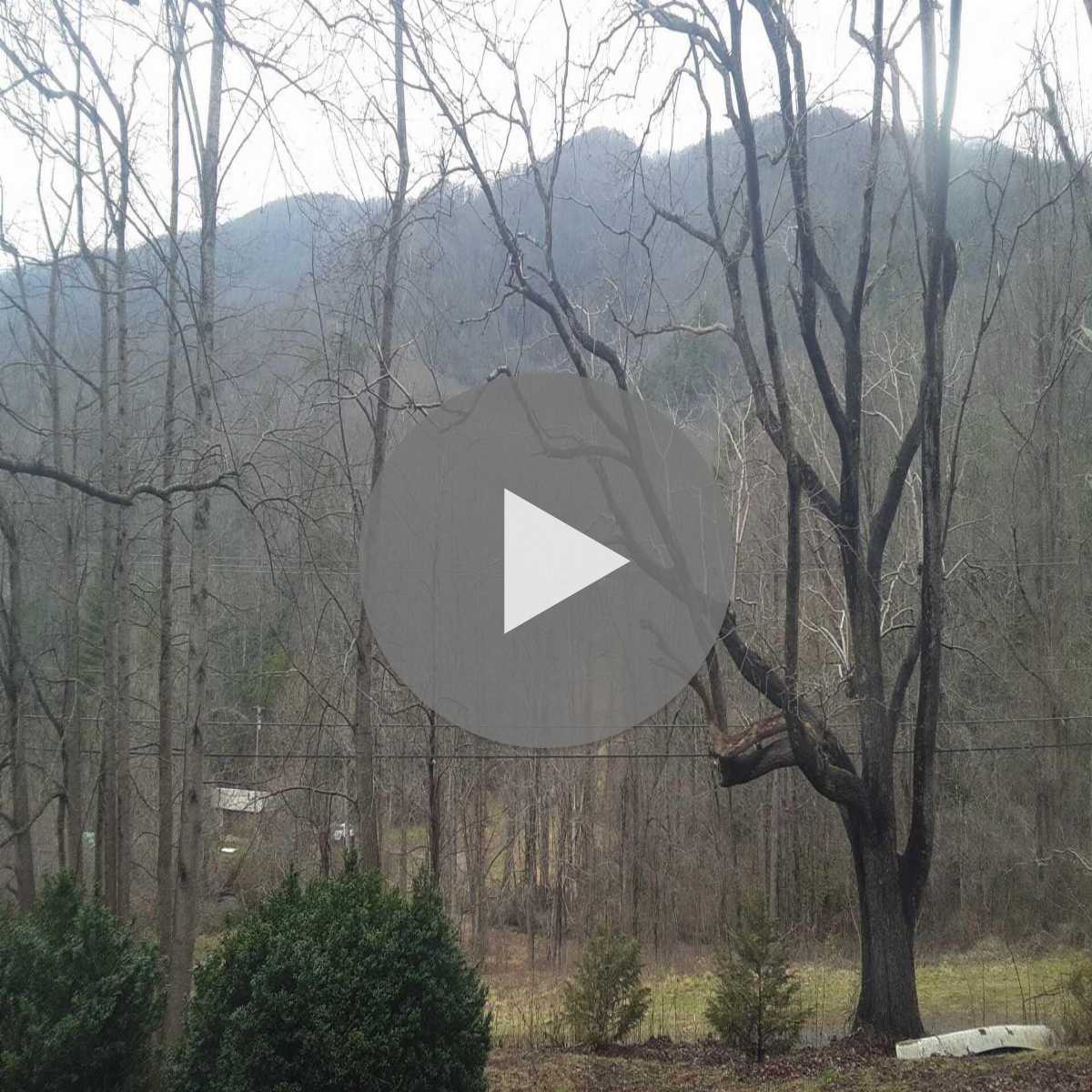 Boone webcam