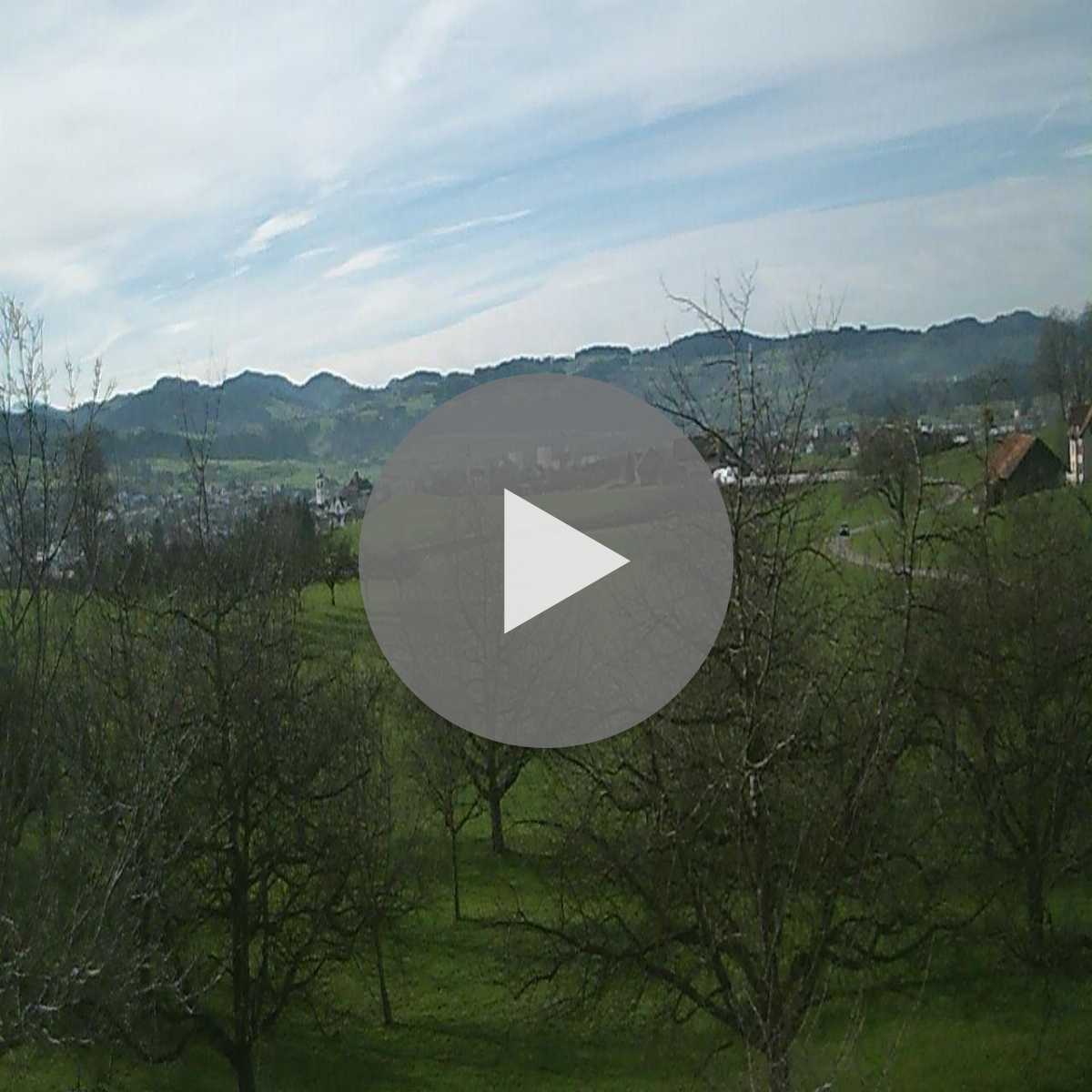 Wildhaus webcam