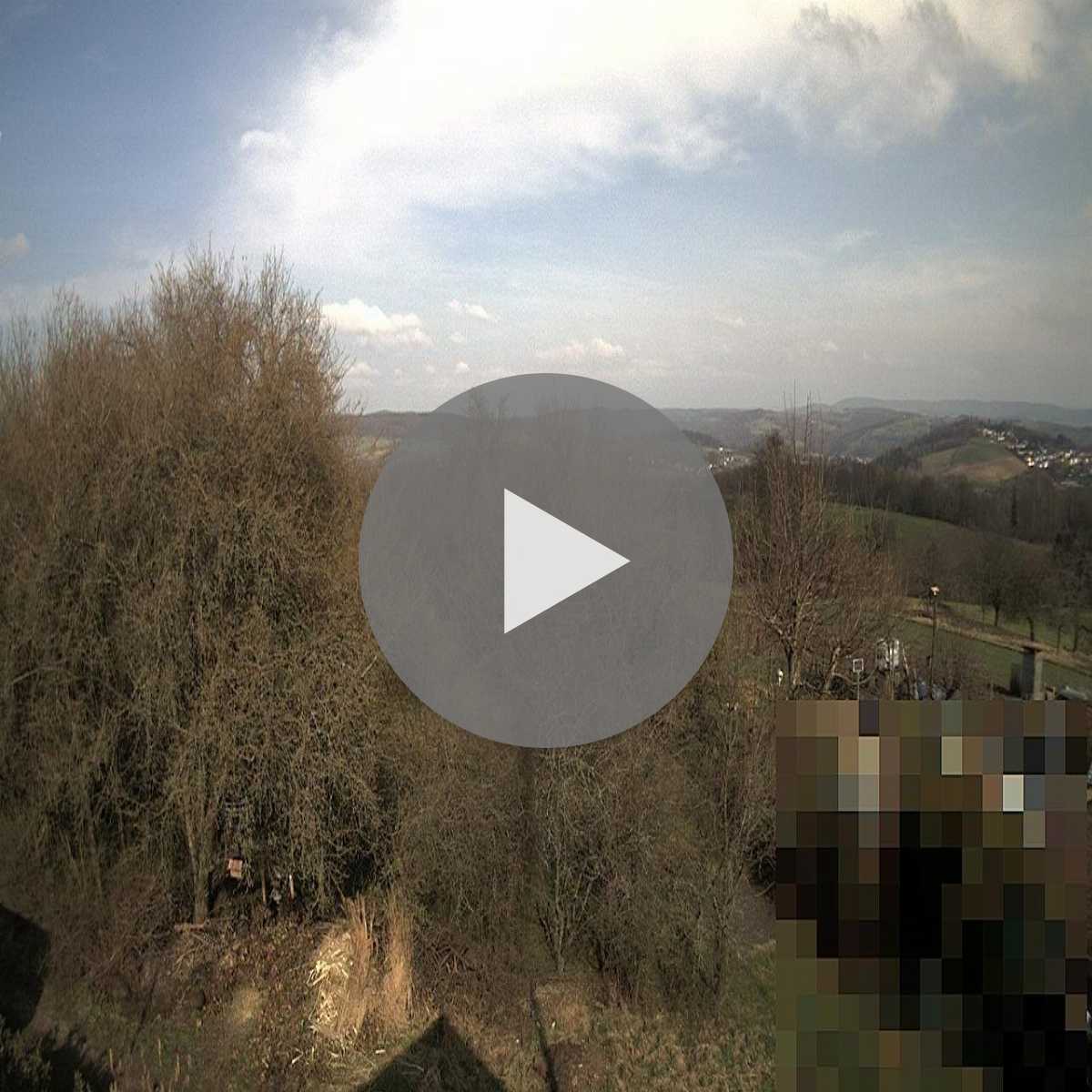 Zachenberg webcam