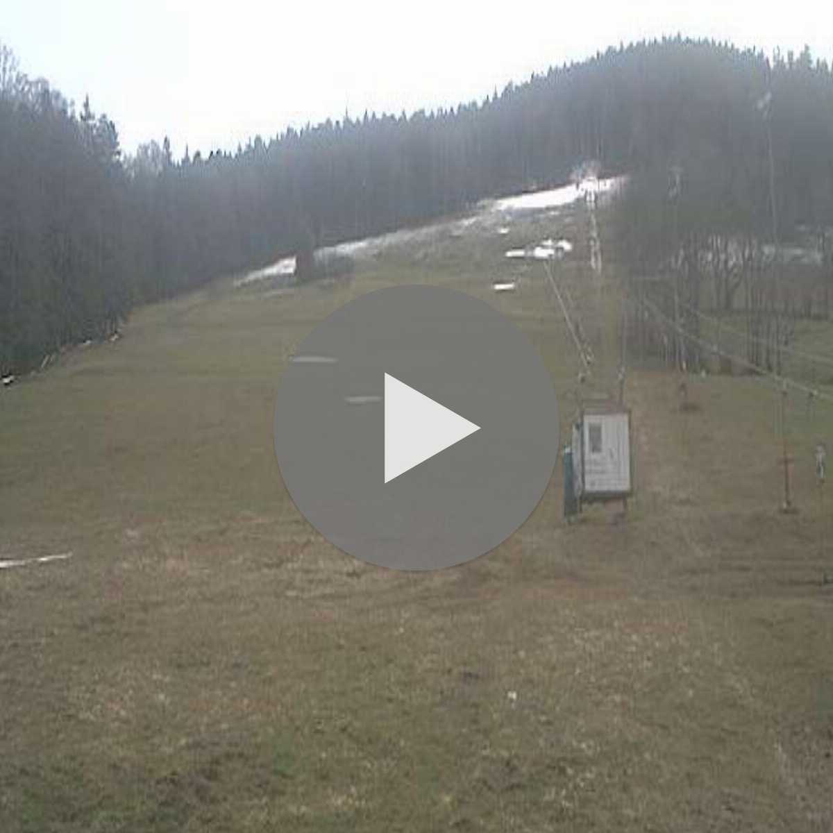 Zachenberg webcam