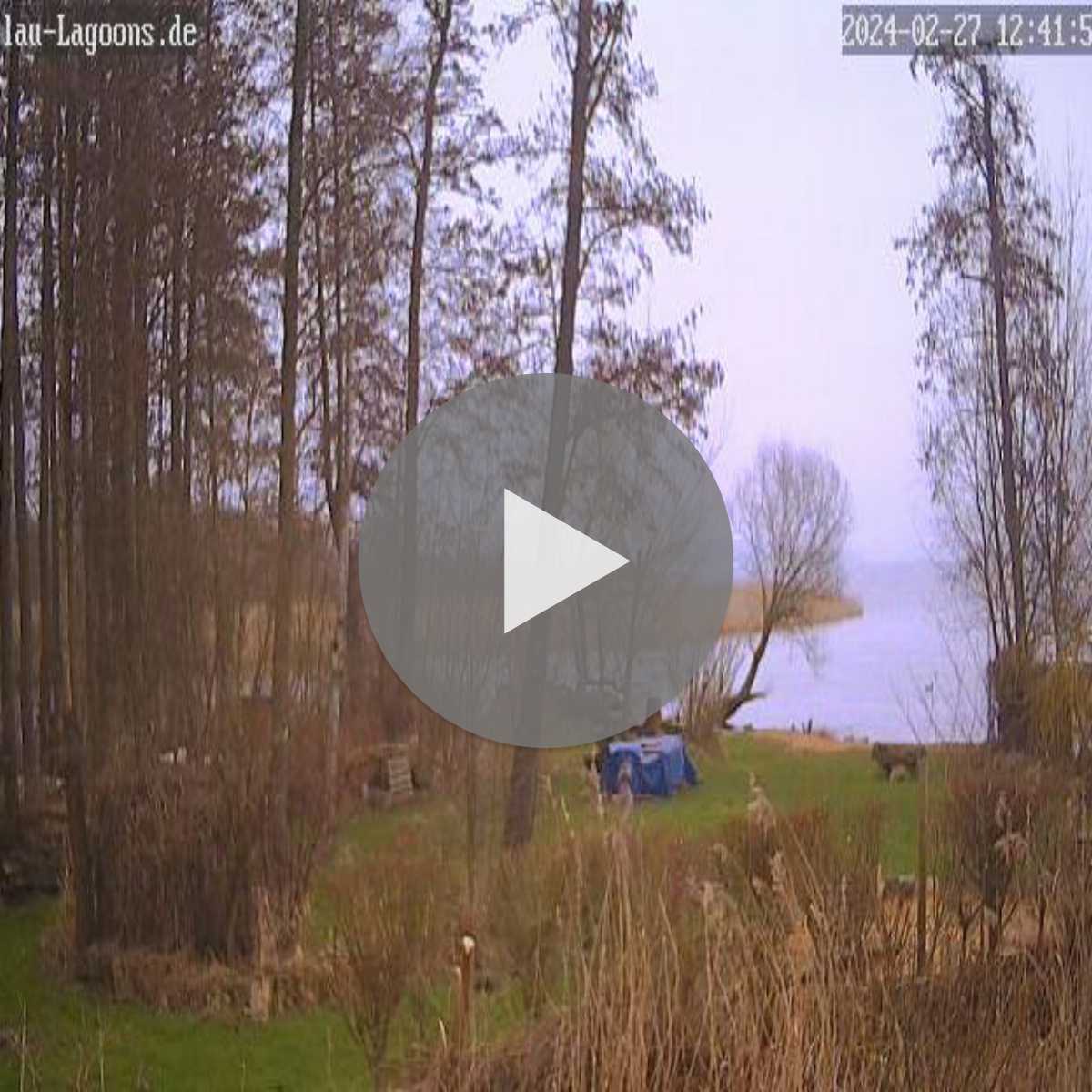Greifswald webcam