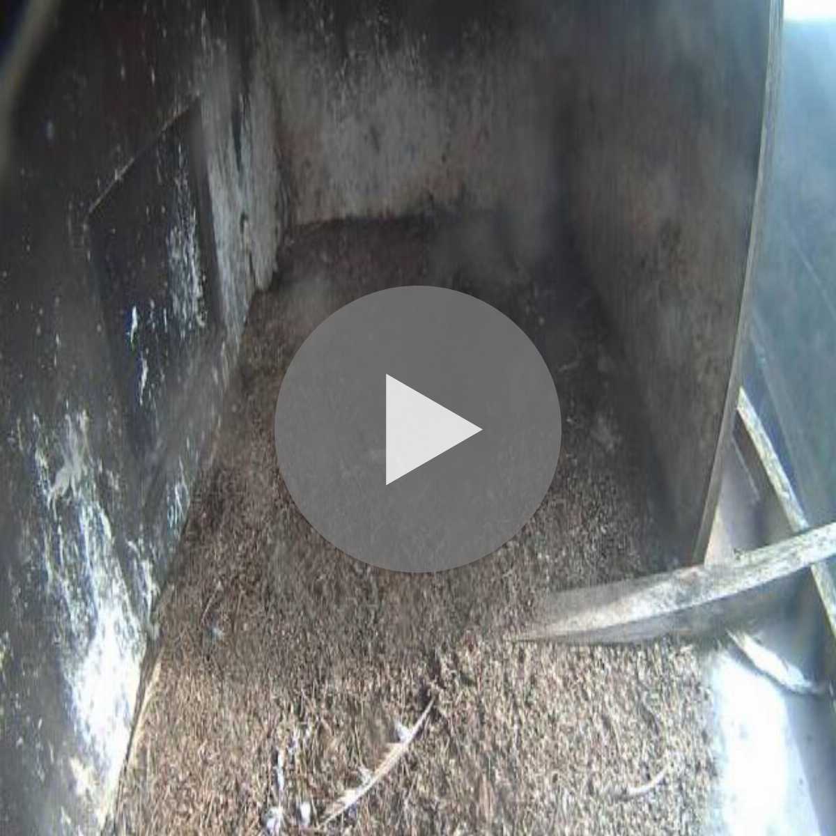 Riesenbeck webcam