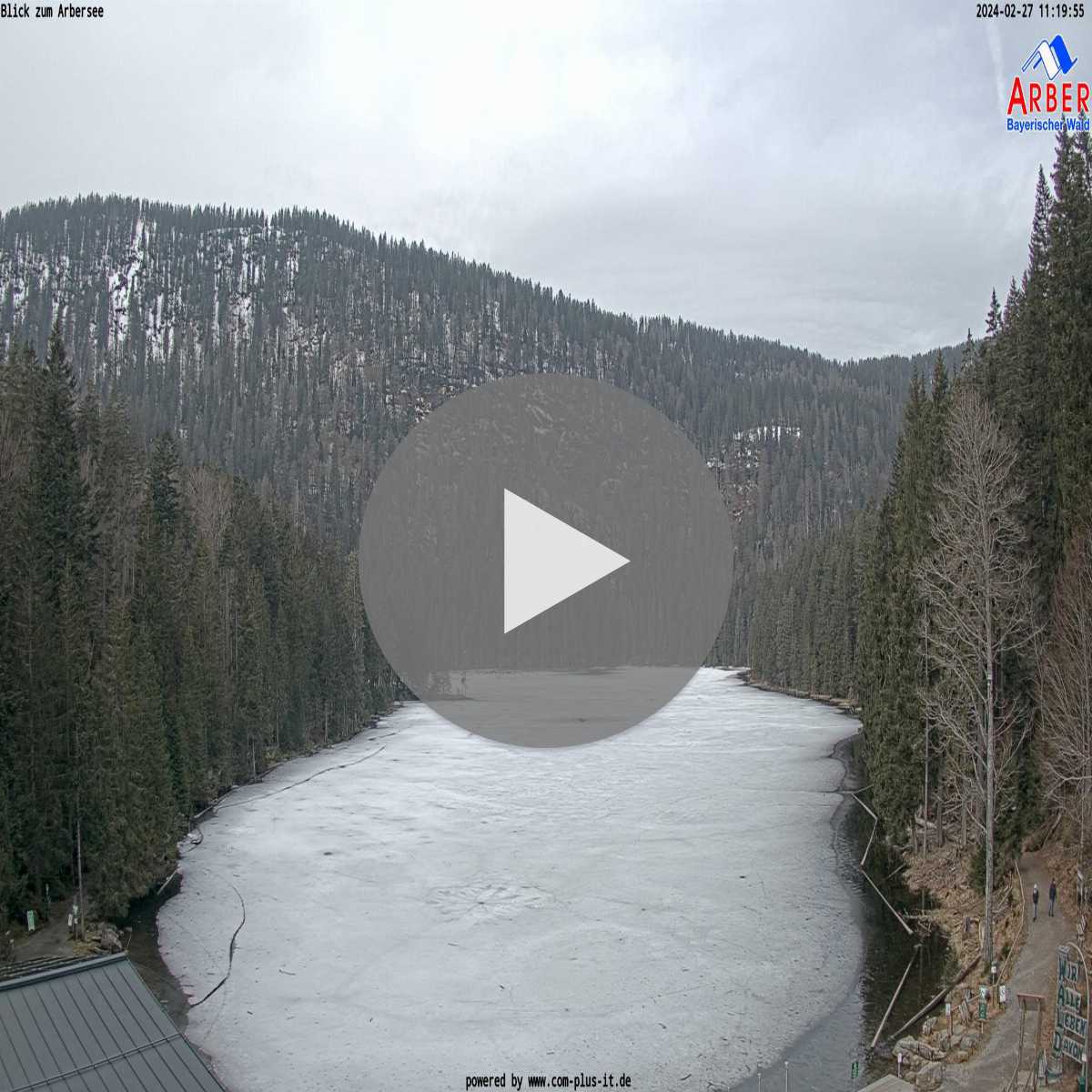Zachenberg webcam