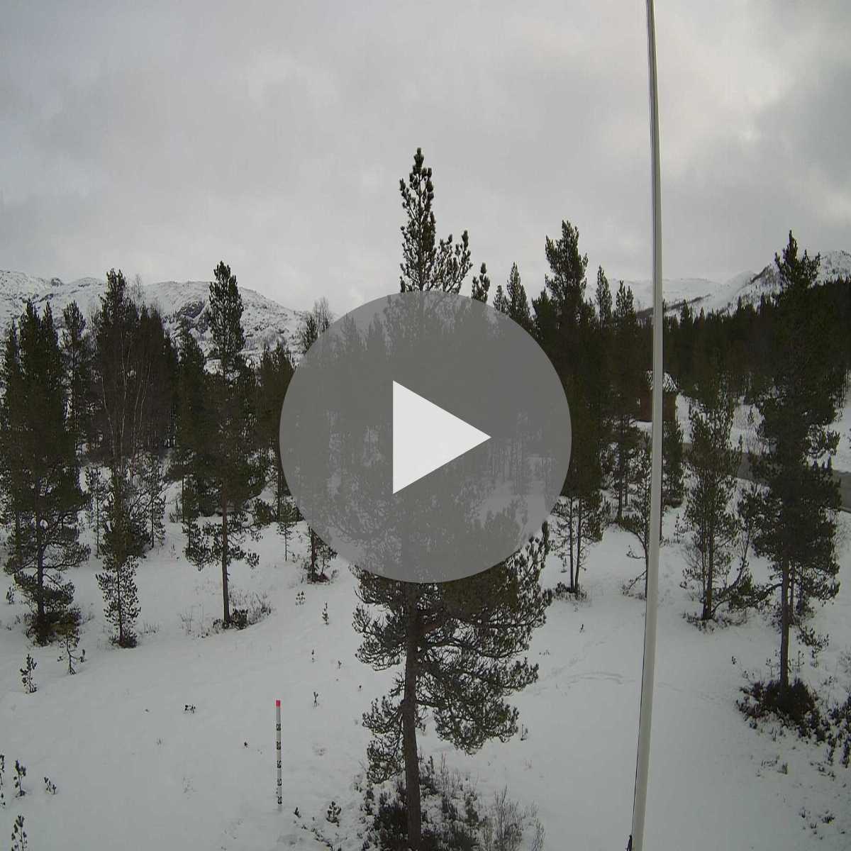 Kopervik webcam