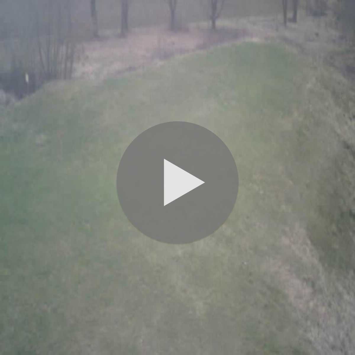 Zachenberg webcam
