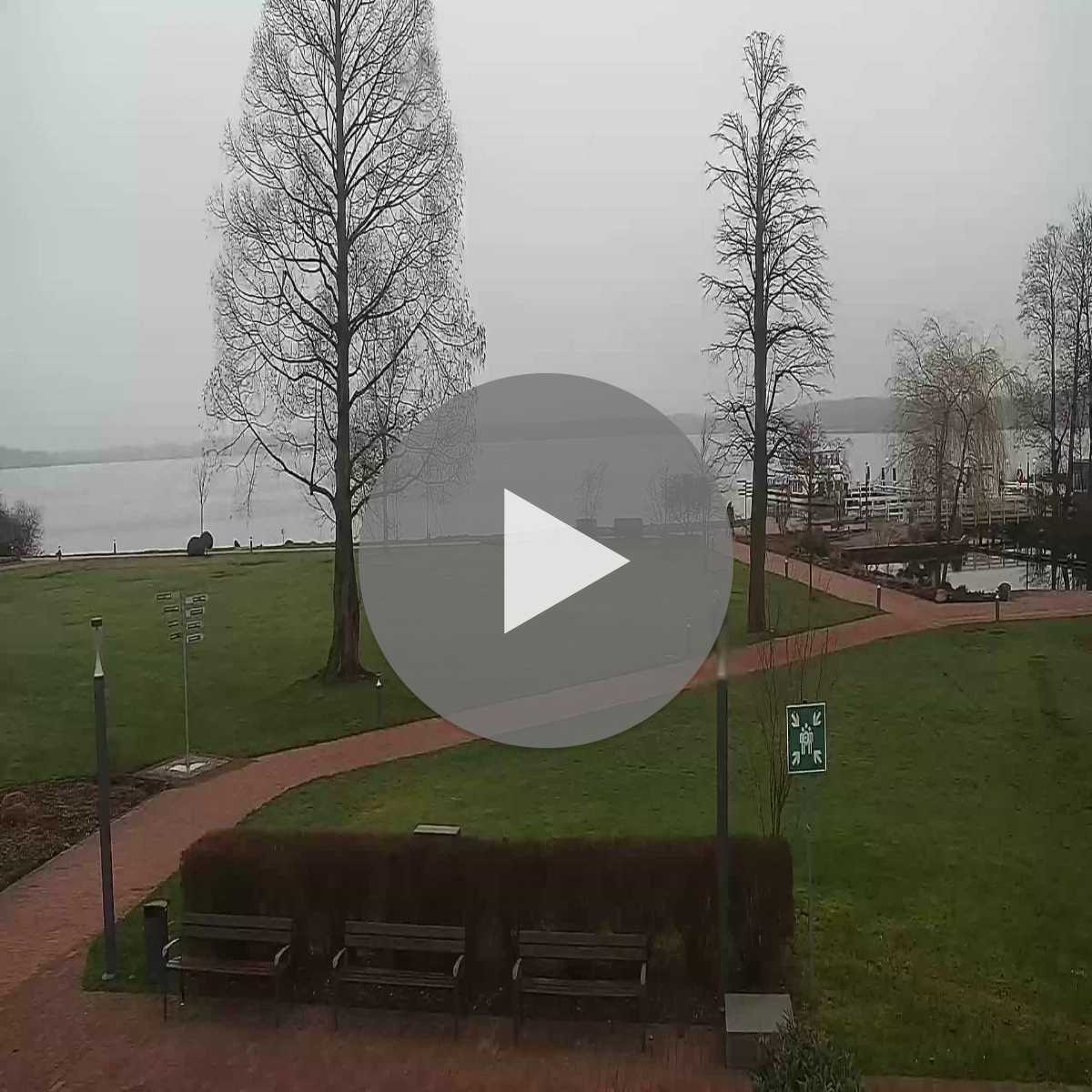 Reppenstedt webcam