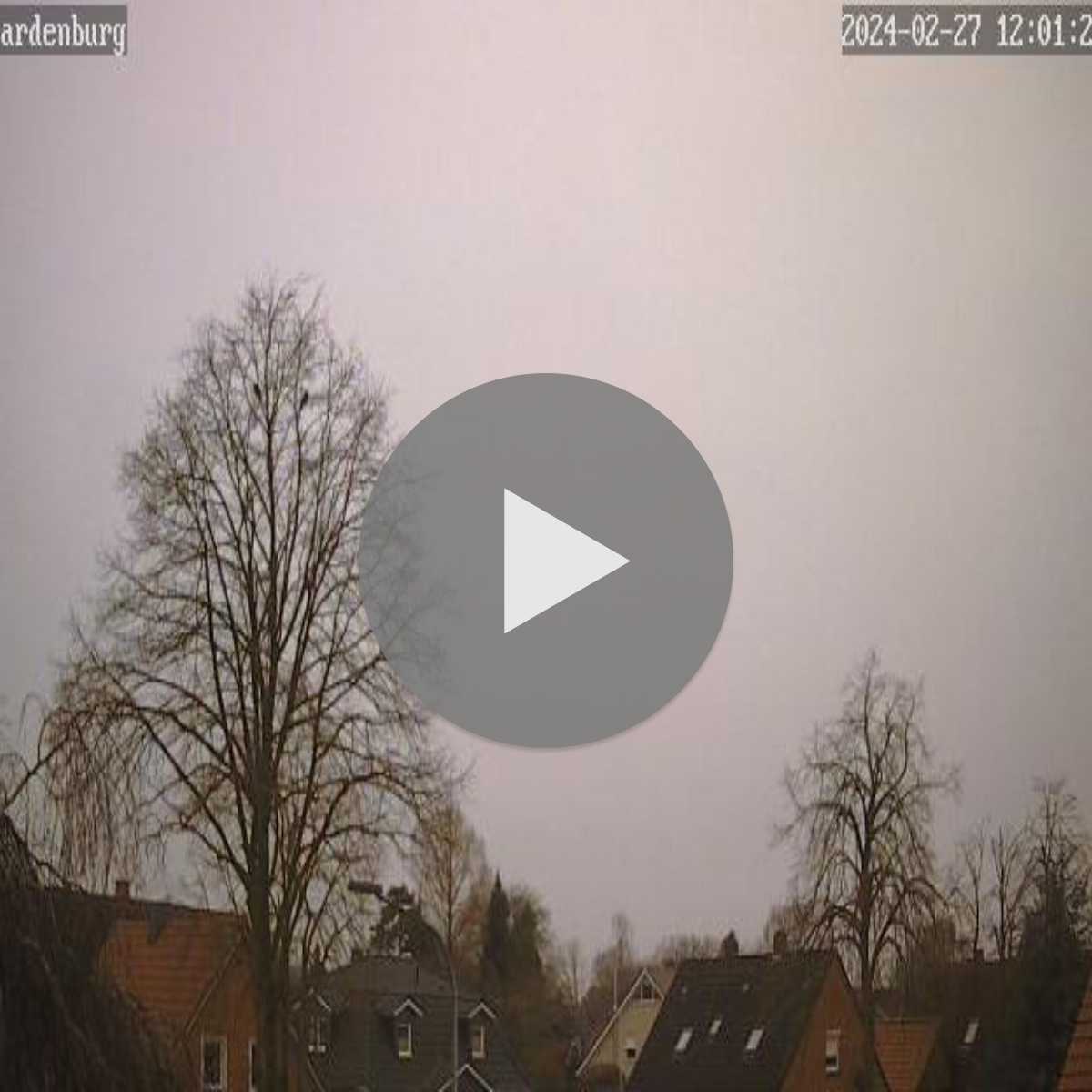 Reppenstedt webcam