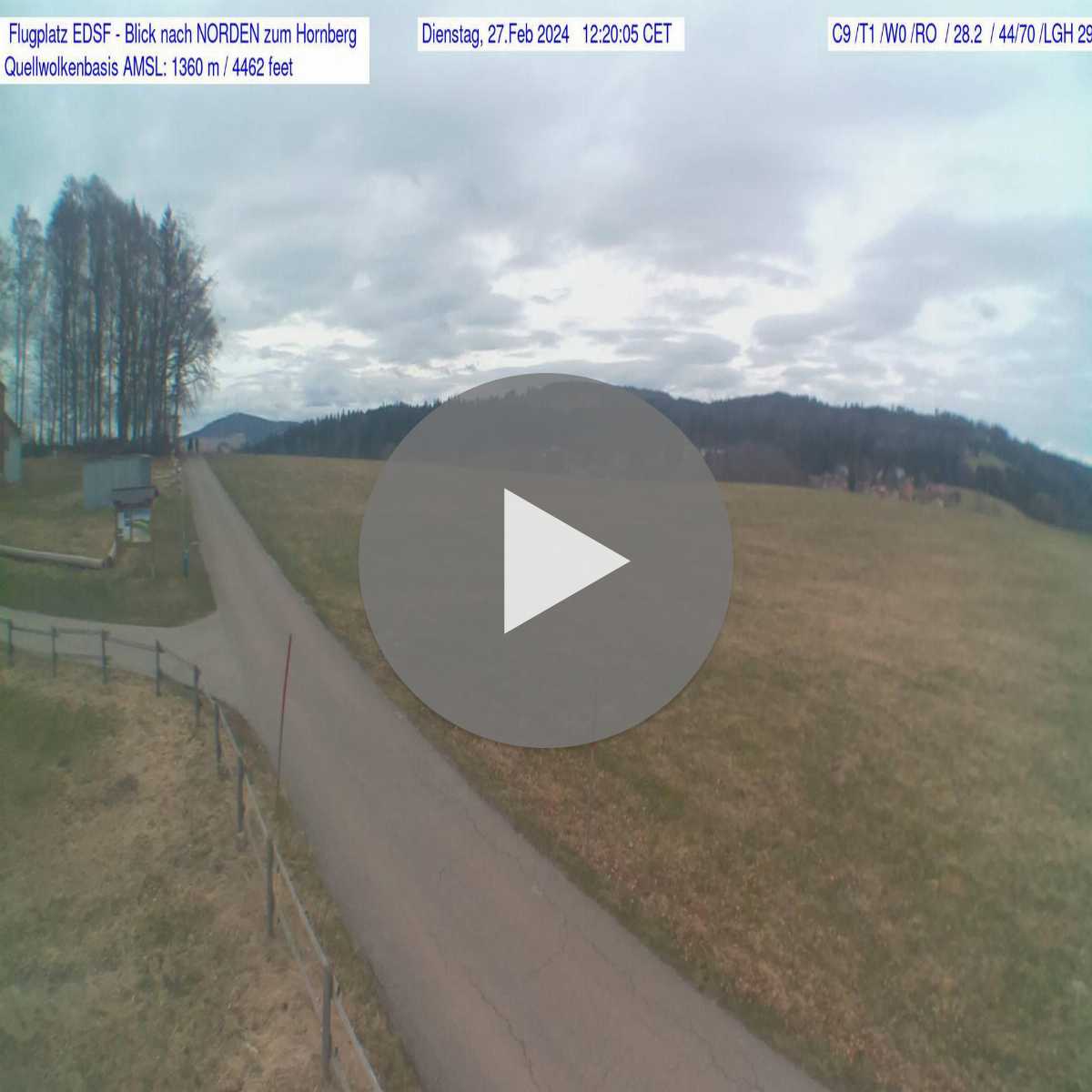 Schallstadt webcam