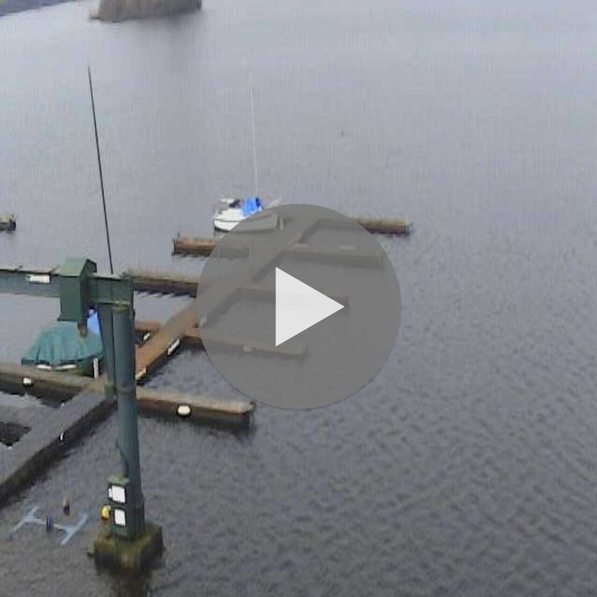 Riesenbeck webcam