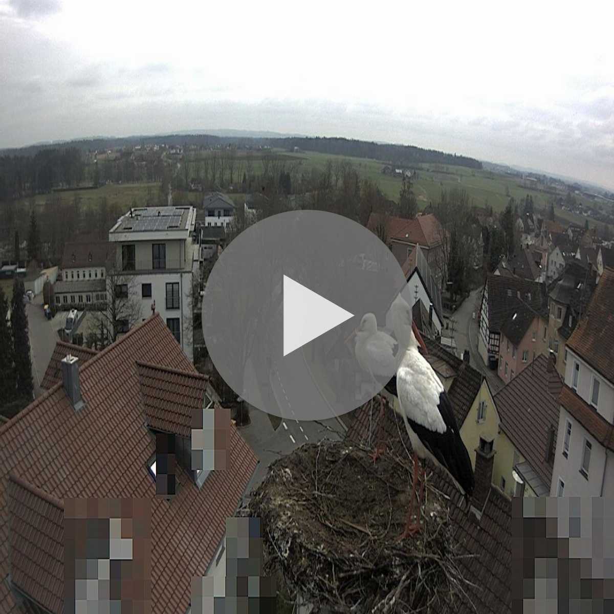 Schallstadt webcam