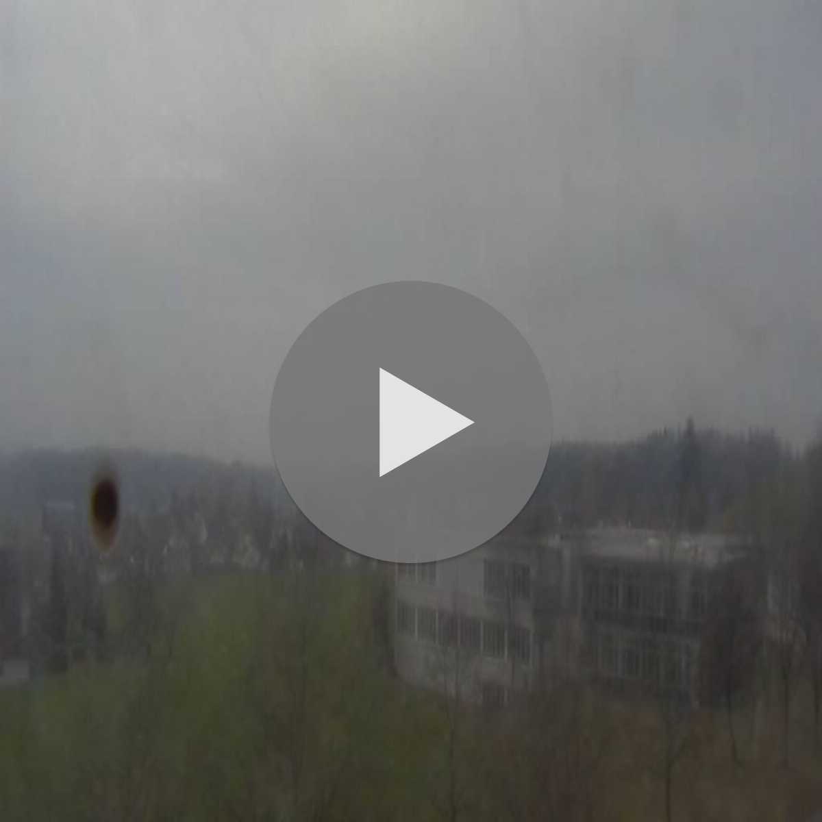 Schallstadt webcam
