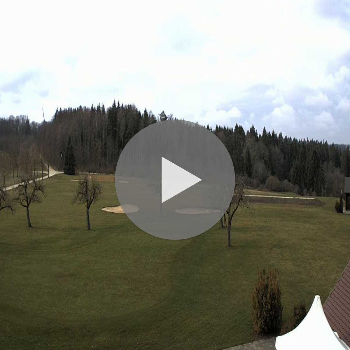 Schallstadt webcam