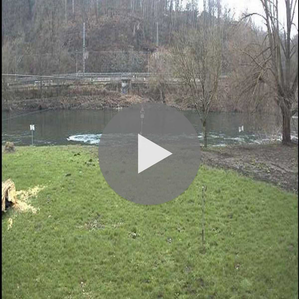 Riesenbeck webcam